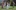 Five performers move in unison on a grassy lawn outdoors, each holding bent‑arm dance poses while spaced evenly in front of a stone wall and greenery in natural daylight.